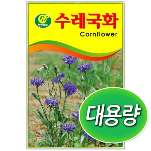 대용량 수레국화 100g, 1개