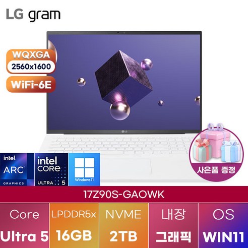 LG 그램17 17Z90S-GAOWK WIN11 신제품 대학생 인강용 업무용 사무용 포토샵 영상편집 고성능 가성비 노트북, WIN11 Home, 16GB, 1TB, 에센스 화이트