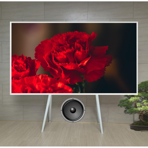CS-4435 TV 스탠드 플로어 티비 거치대 삼성 LG 호환, 블랙 Best Top5 9 85인치 75인치 이젤형티비거치대 LG 삼성 더프레임 티비스탠드 86인치 이동식 tv이젤, 85-86/화이트+연장봉