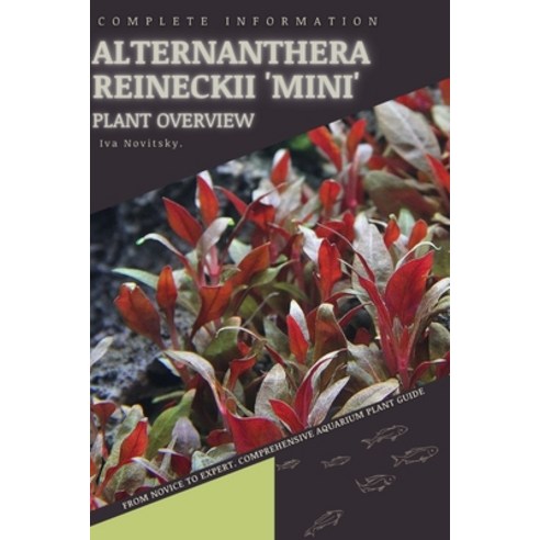(영문도서) Alternanthera Reineckii ''Mini'': From Novice to Expert. Comprehensive Aquarium Plants Guide Paperback, Independently Published, English, 9798856065076
