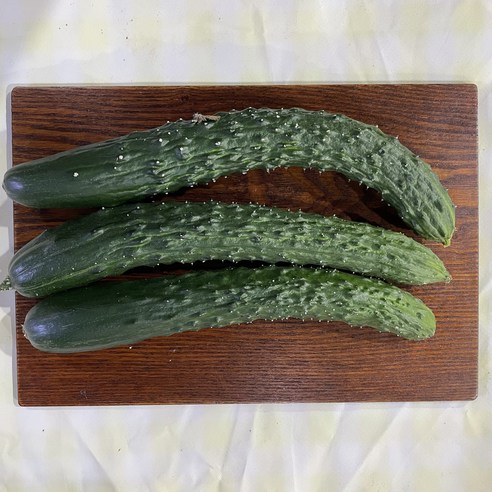 약수농장 오이맛고추 10kg, 1박스, 10kg(상) 15 딸부자마켓 가시오이 1kg 3kg 5kg 10kg, 1개