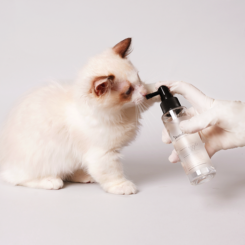 상쾌한 숨결, 사랑하는 반려동물을 위한 유어벳 펫 덴탈 스프레이