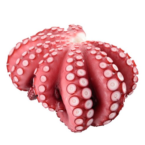 안전하고 신선한 필리핀산 고품질 자숙문어