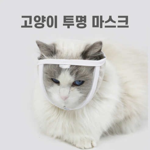XIHAMA 고양이용 투명마스크 넥카라 소형견겸용
