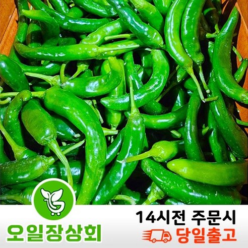 ( 오 일 장 상회 ) 국내산 오이고추 아삭이고추 오이맛고추 안매운고추 상등급 5kg 10kg, 1개, 상등급10kg