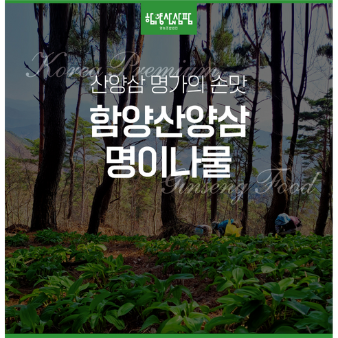 함양산양삼 명이나물 [원산지:국산(경상남도 함양군)], 1개, 500g