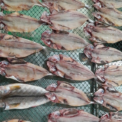 손질 임연수 30%건조 국내산 이면수 조림 구이 반찬 재료 말린생선 진공포장, 10개