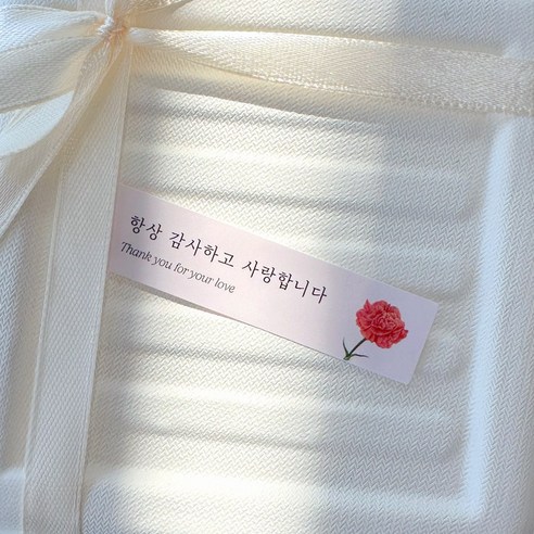 카네이션 가정의달 어버이날 스승의날 선물 포장 스티커 30개 로엣 [Love]