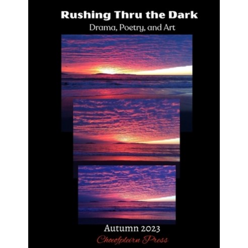 (영문도서) Rushing Thru the Dark: Autumn 2023 Paperback, Choeofpleirn Press, English, 9798988563150