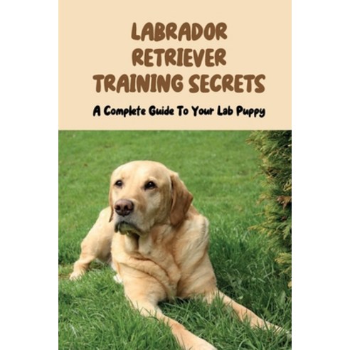 (영문도서) Labrador Retriever Training Secrets: A Complete Guide To Your Lab Puppy: Labrador Retriever T... Paperback, Independently Published, English, 9798546187125