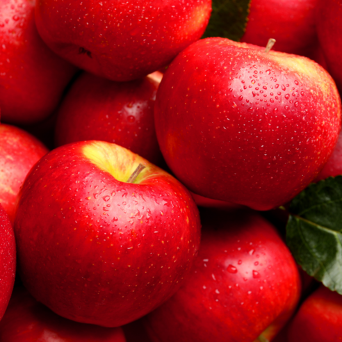 가을 햇살 머금은 황홀한 맛, 오늘의팜 꿀사과