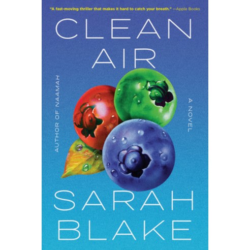 (영문도서) Clean Air Paperback, Algonquin Books, English, 9781643753416