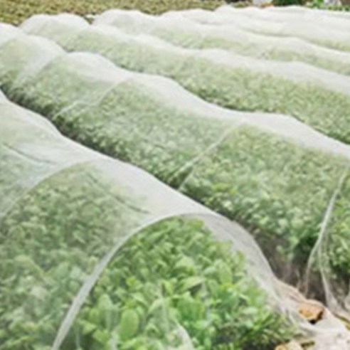 촘촘한 방어막, 2Mx20M 방충망 한랭사로 해충 걱정 끝!