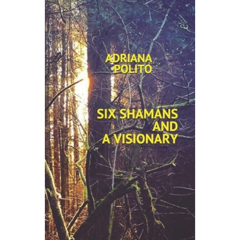 (영문도서) Six Shamans and a Visionary Paperback, Independently Published, English, 9798638913618