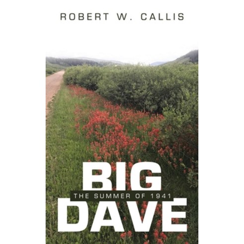 (영문도서) Big Dave: The Summer of 1941 Paperback, iUniverse, English, 9781663252104