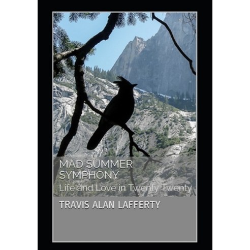 (영문도서) Mad Summer Symphony: Life and Love in Twenty Twenty Paperback, Independently Published, English, 9798583648078