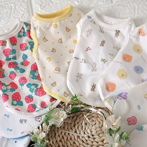 반려견을 위한 건강한 오가닉 실내복