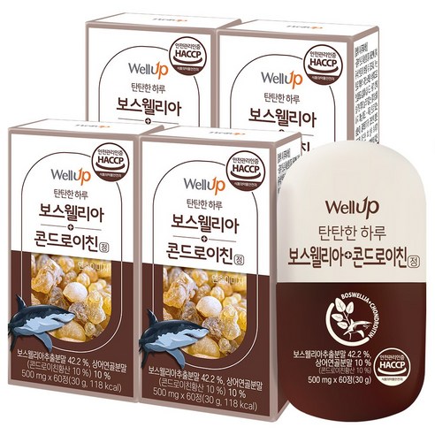 로엘 웰업 보스웰리아 상어연골 콘드로이친정 8개월분, 60정, 4개