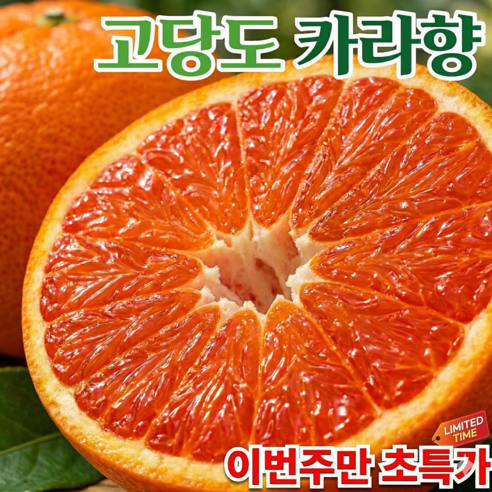 [재구매1위] 평균15BRIX 새콤달콤 제주 카라향