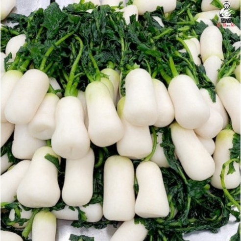 김장, 이제 [김재모 절임 알타리무] 하나로 끝내세요!