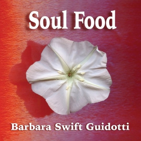 (영문도서) Soul Food Paperback, Naturescan Books, English, 9781088053072