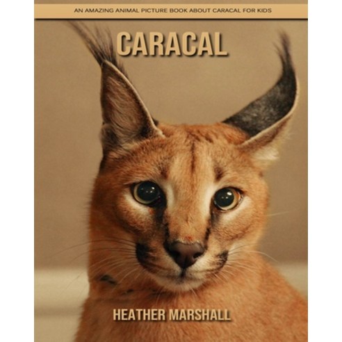 Caracal: An Amazing Animal Picture Book about Caracal for Kids Paperback, Independently Published, English, 9798737856984