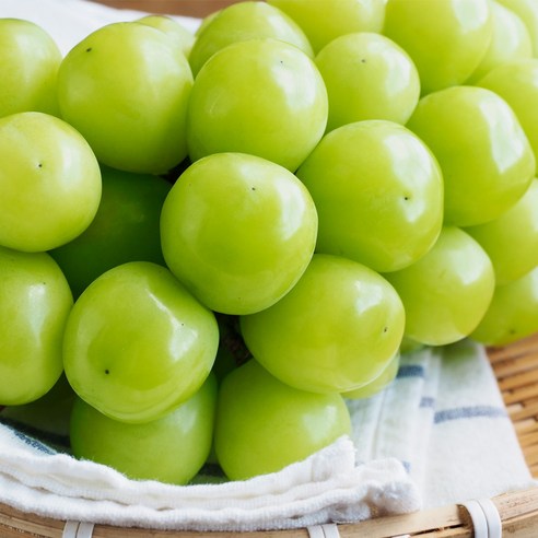 김천 샤인머스켓 고당도 망고포도 실속형은 맛과 실속을 모두 채워줄 수 있는 훌륭한 상품입니다.