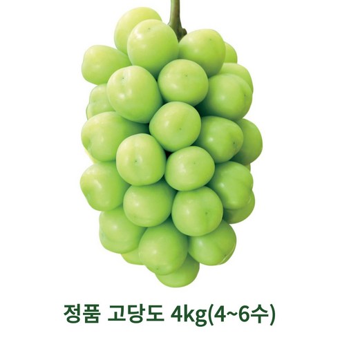 샤인머스캣 프리미엄 고당도 망고포도 수출용 가정용 2kg 4kg, 1개, 정품 고당도 4kg(4~6수)