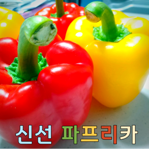고군명가 국내산 자연담은 파프리카 3kg 9-15개 내외, 1개