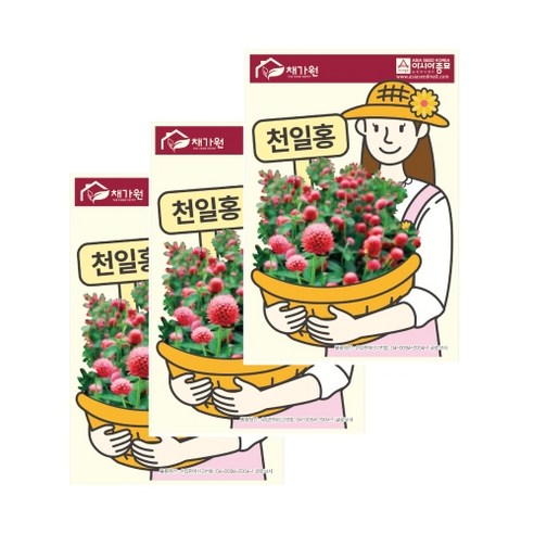 보람농자재 (꽃씨앗) 천일홍(100립x3), 3개