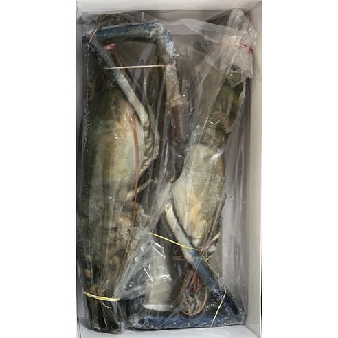 신선도와 품질이 뛰어난 인도산 냉동 큰징거미새우