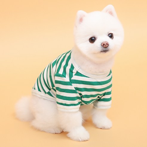 라핑 빠삐용 스트라이프 반팔티 사계절 데일리 강아지옷, 그린