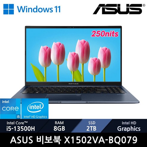 ASUS 비보북 X1502VA-BQ079 /+무선마우스, WIN11 Home, 16GB, 256GB, 콰이어트 블루