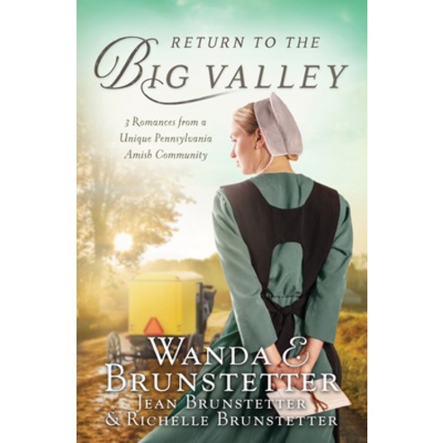 The Return to the Big Valley Paperback, Barbour Fiction, English, 9781643528717
