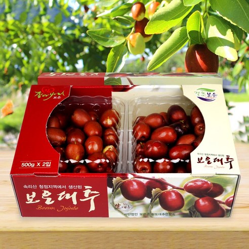 보은 햇 생대추 1kg 28mm 30mm, 2.생대추(30mm)1kg, 1개