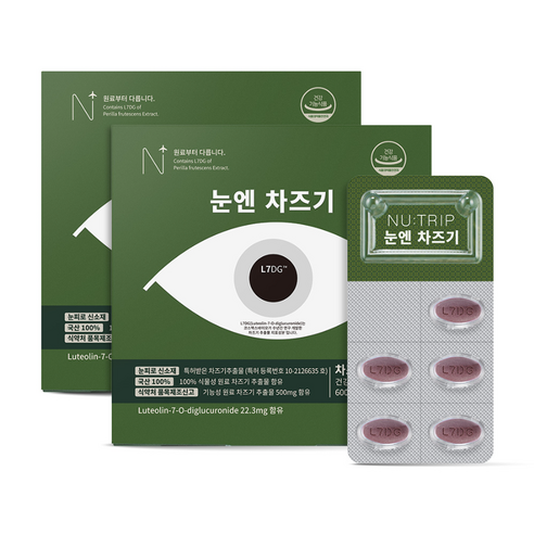 뉴트립 눈엔 차즈기