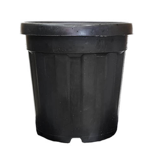 한국식물 대형 노지화분 110L, 블랙