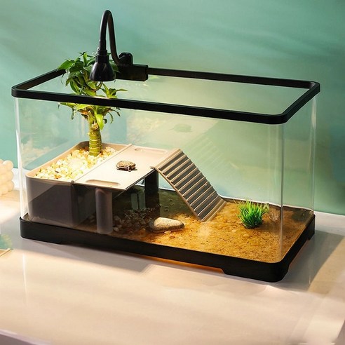 아름다운 수중 세계를 집 안으로: 아크릴 어항으로 완성하는 특별한 공간 거북이수조
