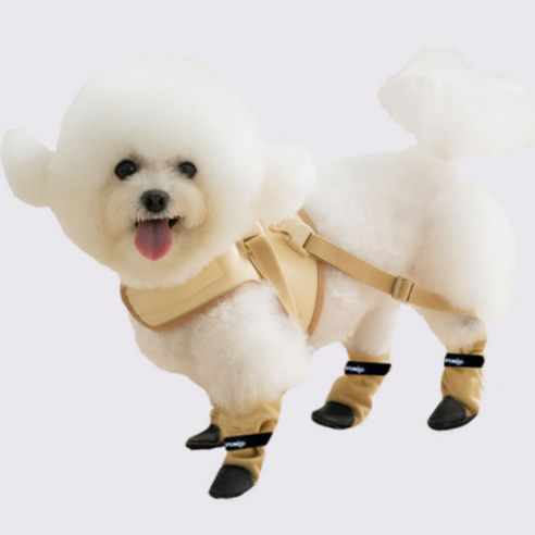 로맨스독 스파이더슈즈 잃어버리지않는 강아지 신발 하네스 세트 반려견 장화, 아이보리, 1개