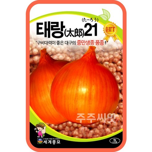 태랑21 양파 씨앗 4g / 채소 종자 김장재료 텃밭가꾸기 야채키우기 주말농장 onion seed 양파씨앗, 1봉