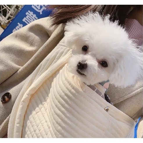 펫앤홈 모찌 강아지 고양이 슬링백