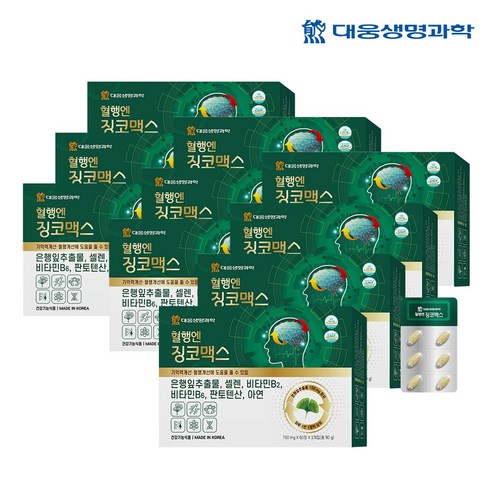 대웅생명과학 혈행엔 징코맥스 은행잎 추출물 혈행 기억력 개선에 도움을 줄수 있음, 120정, 10개