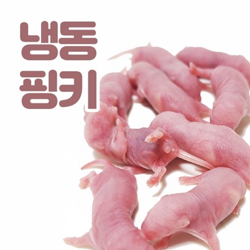 냉동 핑키 - 기타 | 쿠팡