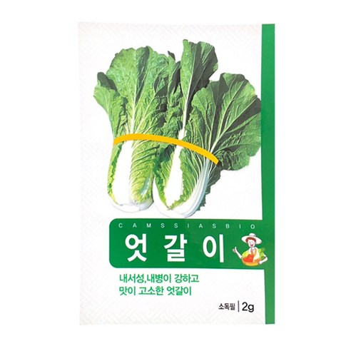 엇갈이 배추 씨앗, 1개