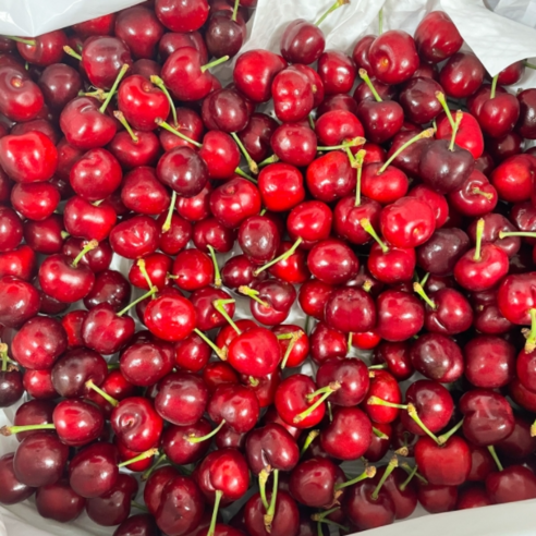 항공직송 탱탱한 생 체리, 1박스, 1kg