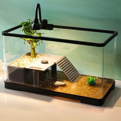 아크릴 어항으로 당신의 공간에 특별한 아름다움을 더하세요.