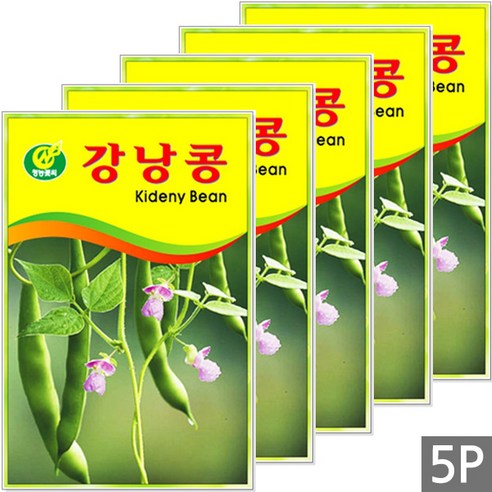 세인화분 강낭콩 2g, 5개