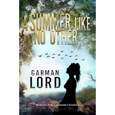 A Summer Like No Other Paperback, Independently Published, English, 9781723721977