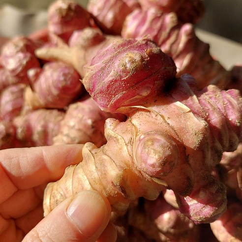 건강한 식탁을 위한 최고의 선택