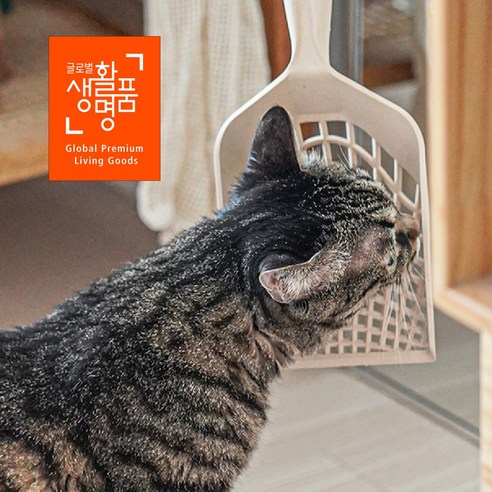 스파이더스쿱 하나로 집사와 고양이 모두를 행복하게